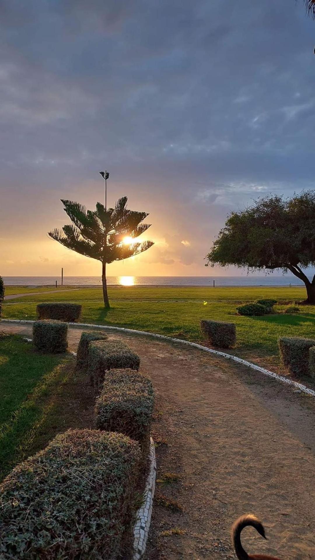 Apartamento Magic World Nueva Marina D'Or 2 Dormitorios Edificio Torremar Оропеса-дель-Мар Экстерьер фото